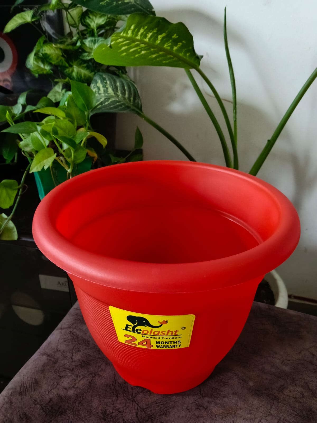 POT (10 Inches) — image 2